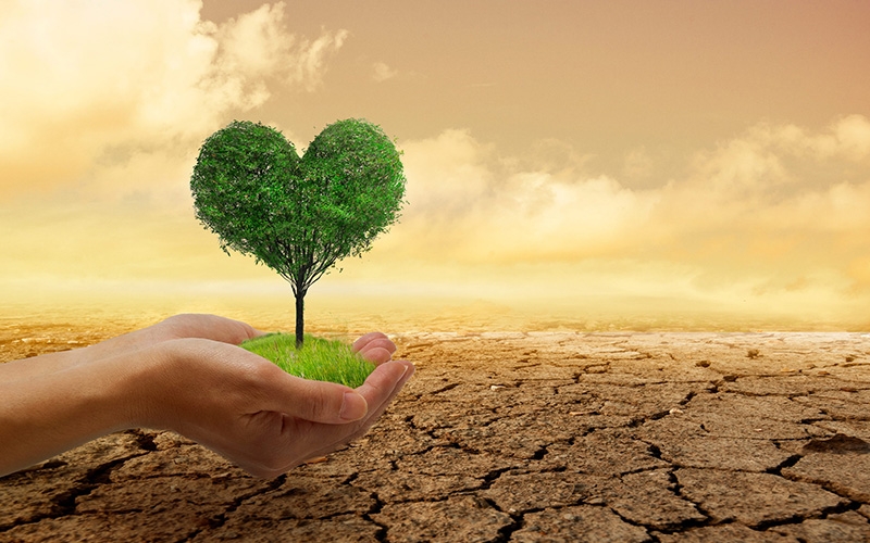 愛土地 / 護水庫