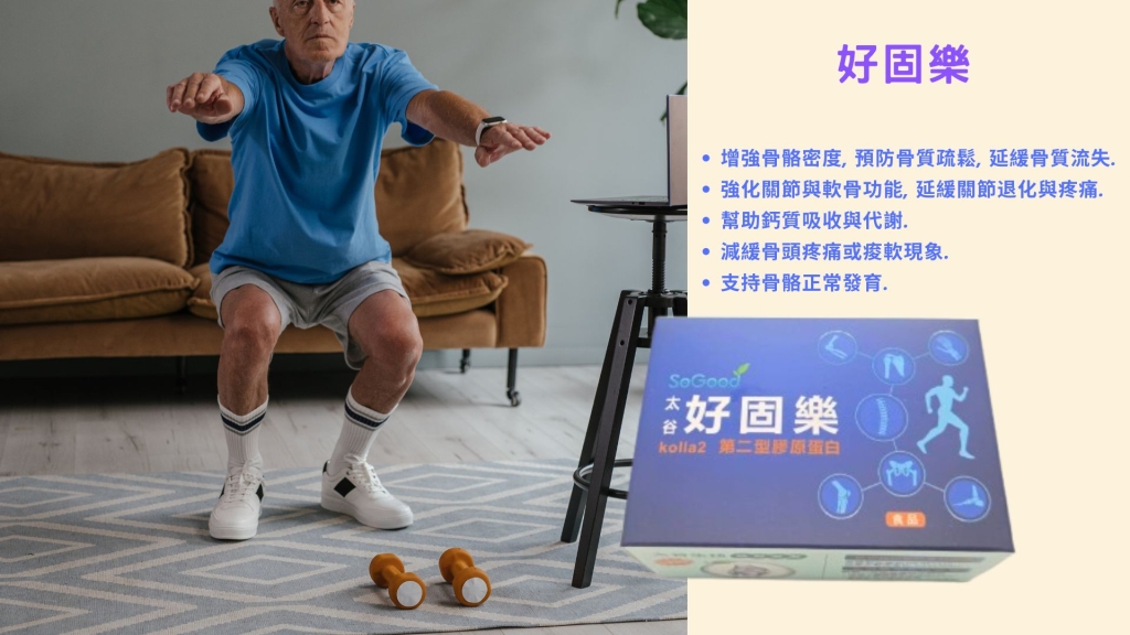 行動好固樂